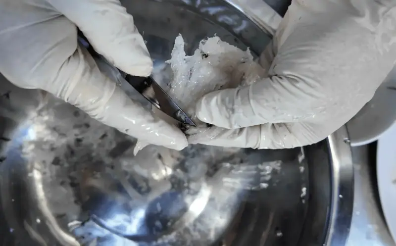 Hands cleaning a nest in a steel bowl of water