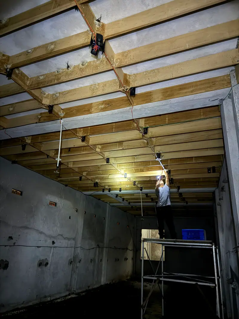 Harvester on a scaffold beneath the timber grid where swiftlets nest