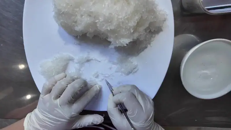 Tweezers lifting fine feathers from soaked strands